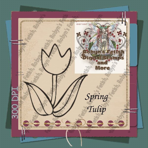 SPRING TULIP